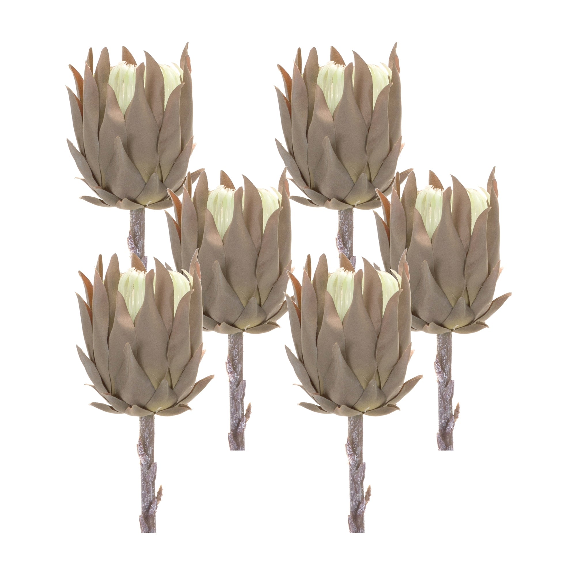 Beige Protea Stem (Set of 6) - Tuesday Morning - Faux Stems & Sprays