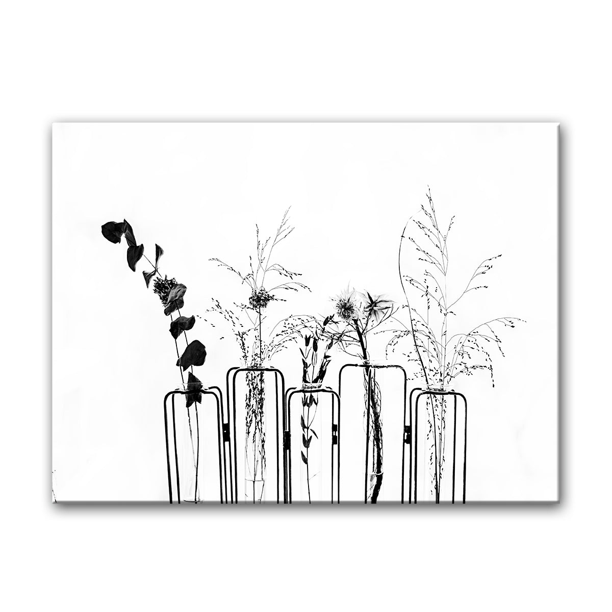 Black Flowers on White Background' Wrapped Canvas Wall Art - Tuesday Morning - Wall Art