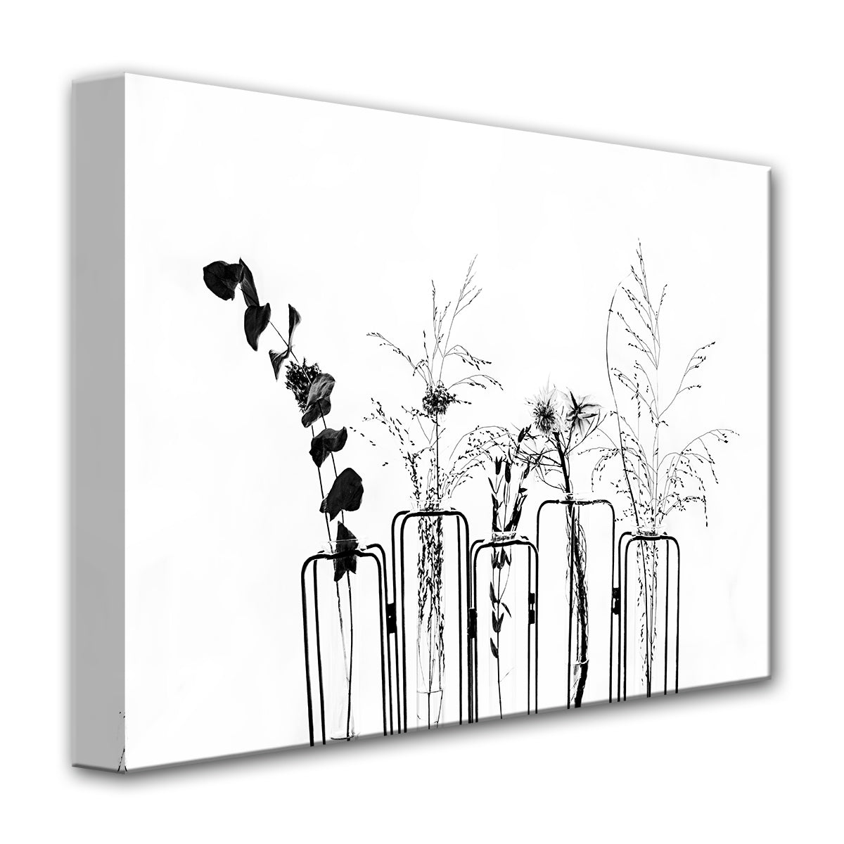 Black Flowers on White Background' Wrapped Canvas Wall Art - Tuesday Morning - Wall Art