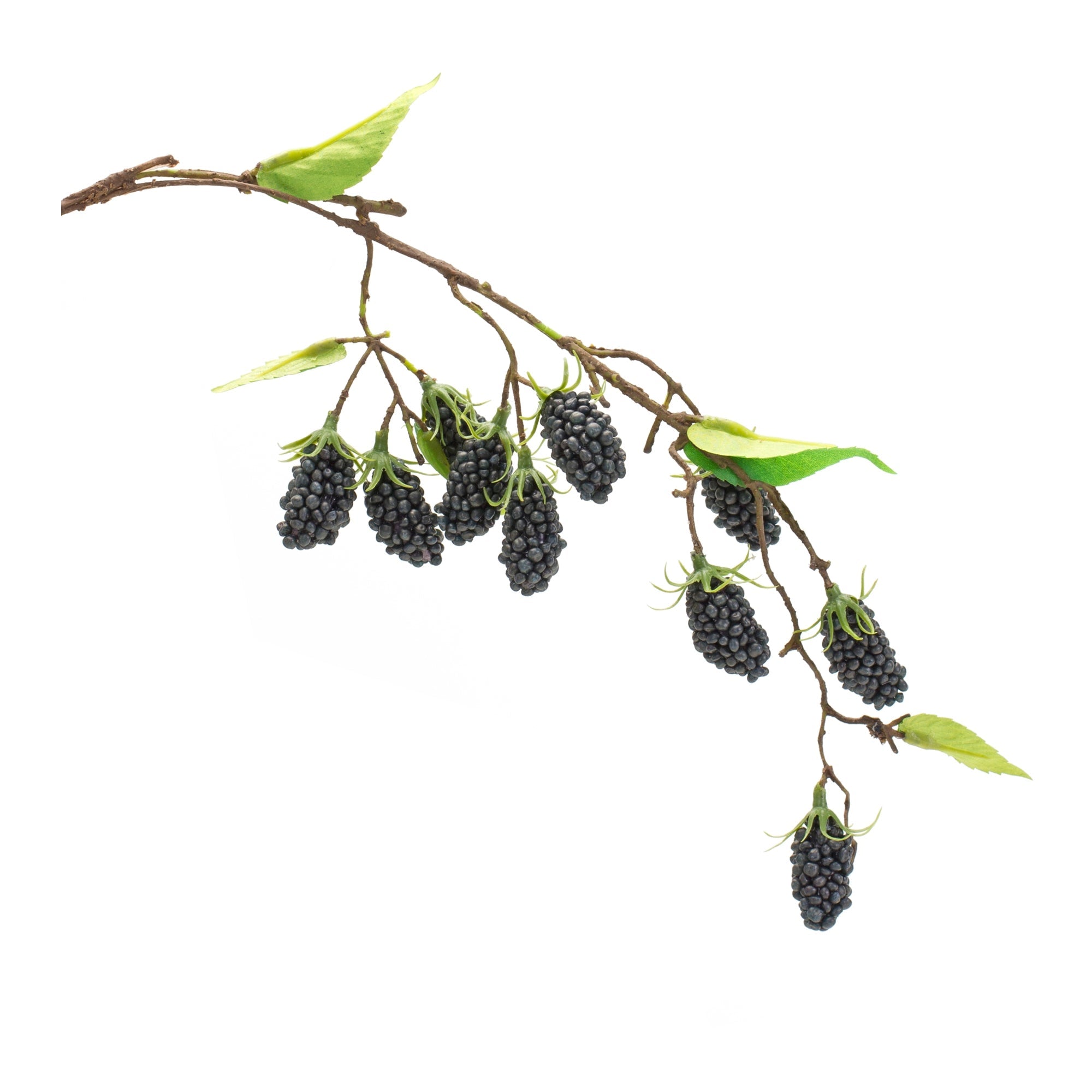 Blackberry Twig Vine (Set of 6) - Tuesday Morning - Faux Stems & Sprays