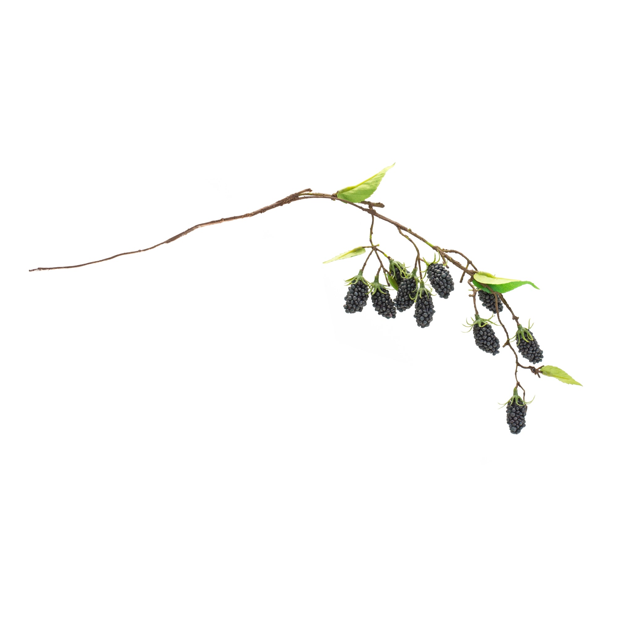 Blackberry Twig Vine (Set of 6) - Tuesday Morning - Faux Stems & Sprays