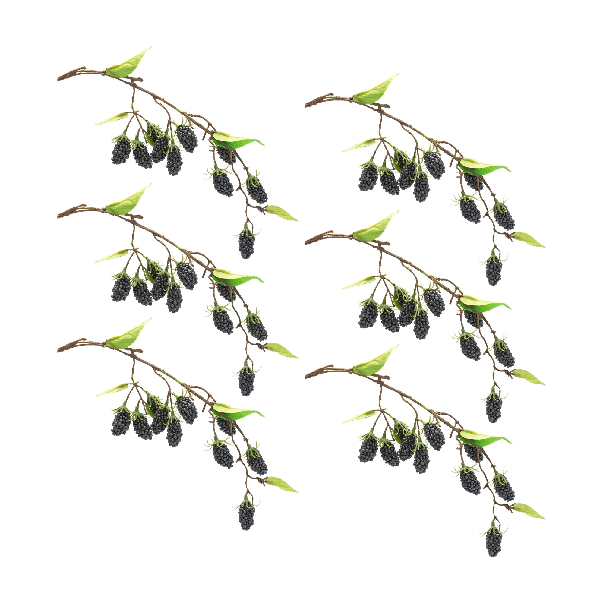 Blackberry Twig Vine (Set of 6) - Tuesday Morning - Faux Stems & Sprays