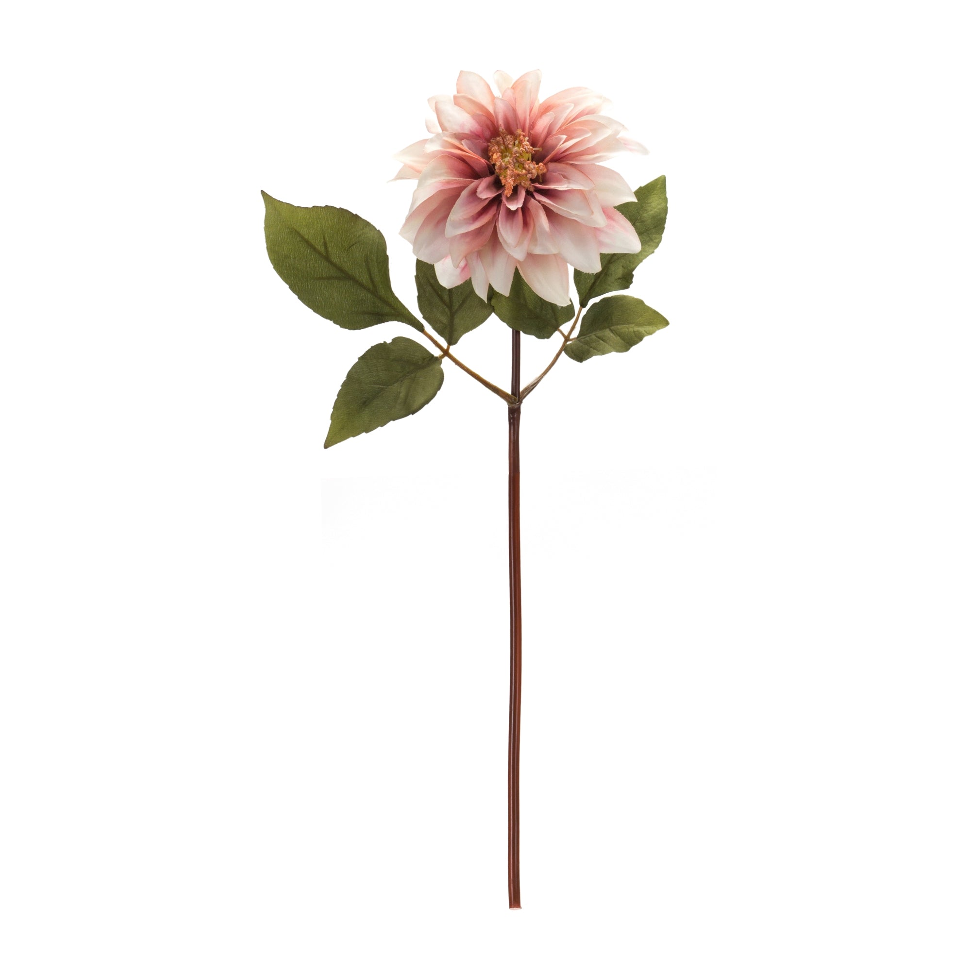 Blush Pink Dahlia Flower Stem (Set of 6) - Tuesday Morning - Faux Stems & Sprays