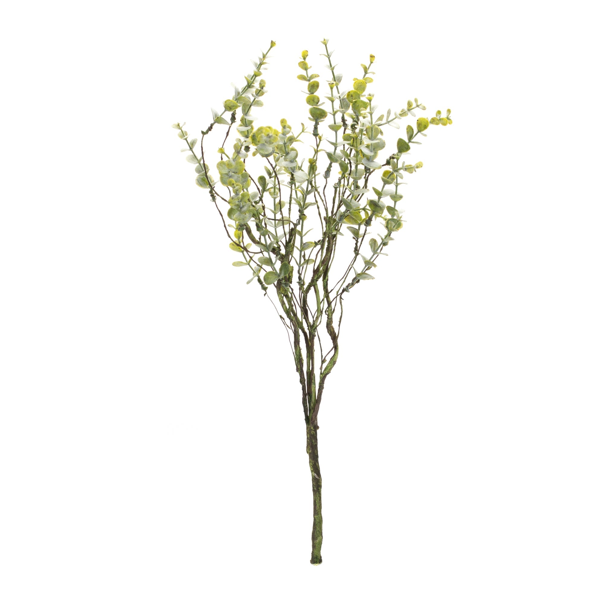 Boxwood Twig Foliage Spray (Set of 6) - Tuesday Morning - Faux Stems & Sprays