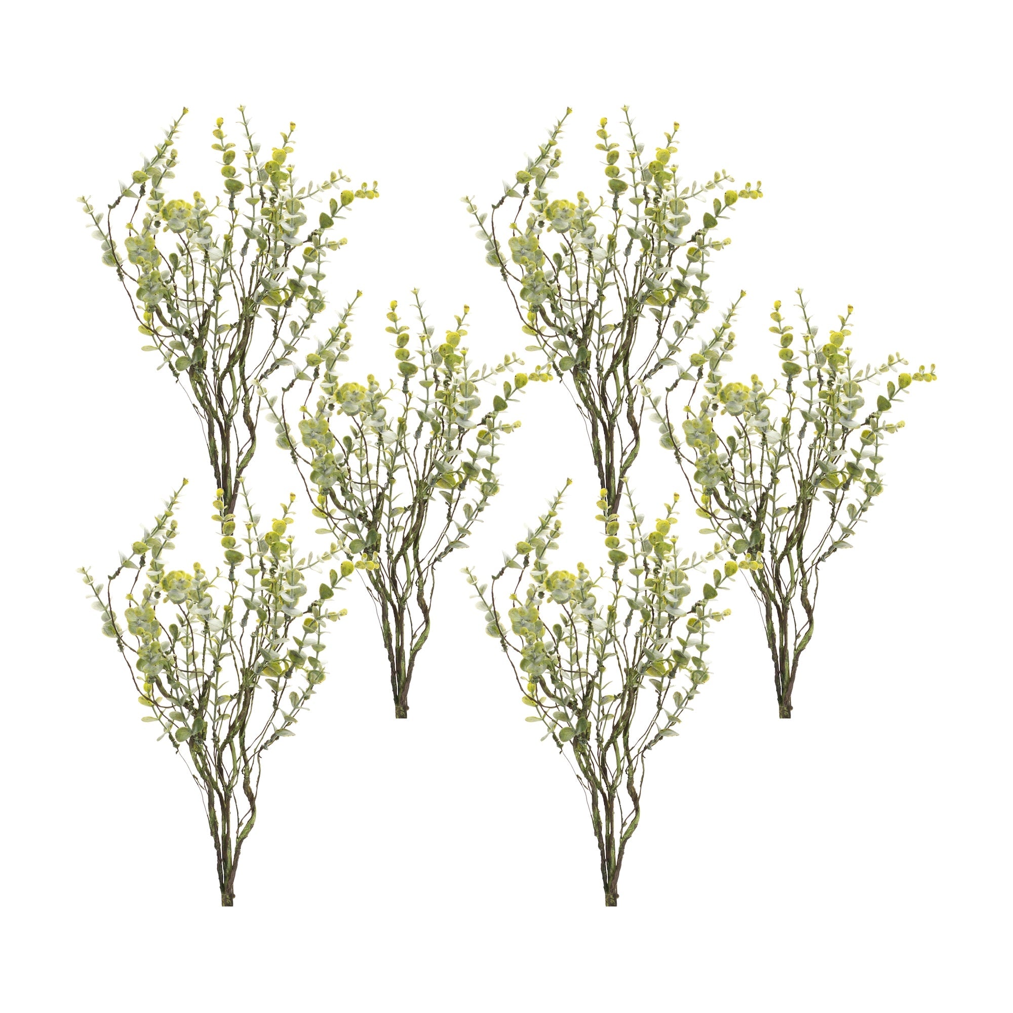 Boxwood Twig Foliage Spray (Set of 6) - Tuesday Morning - Faux Stems & Sprays