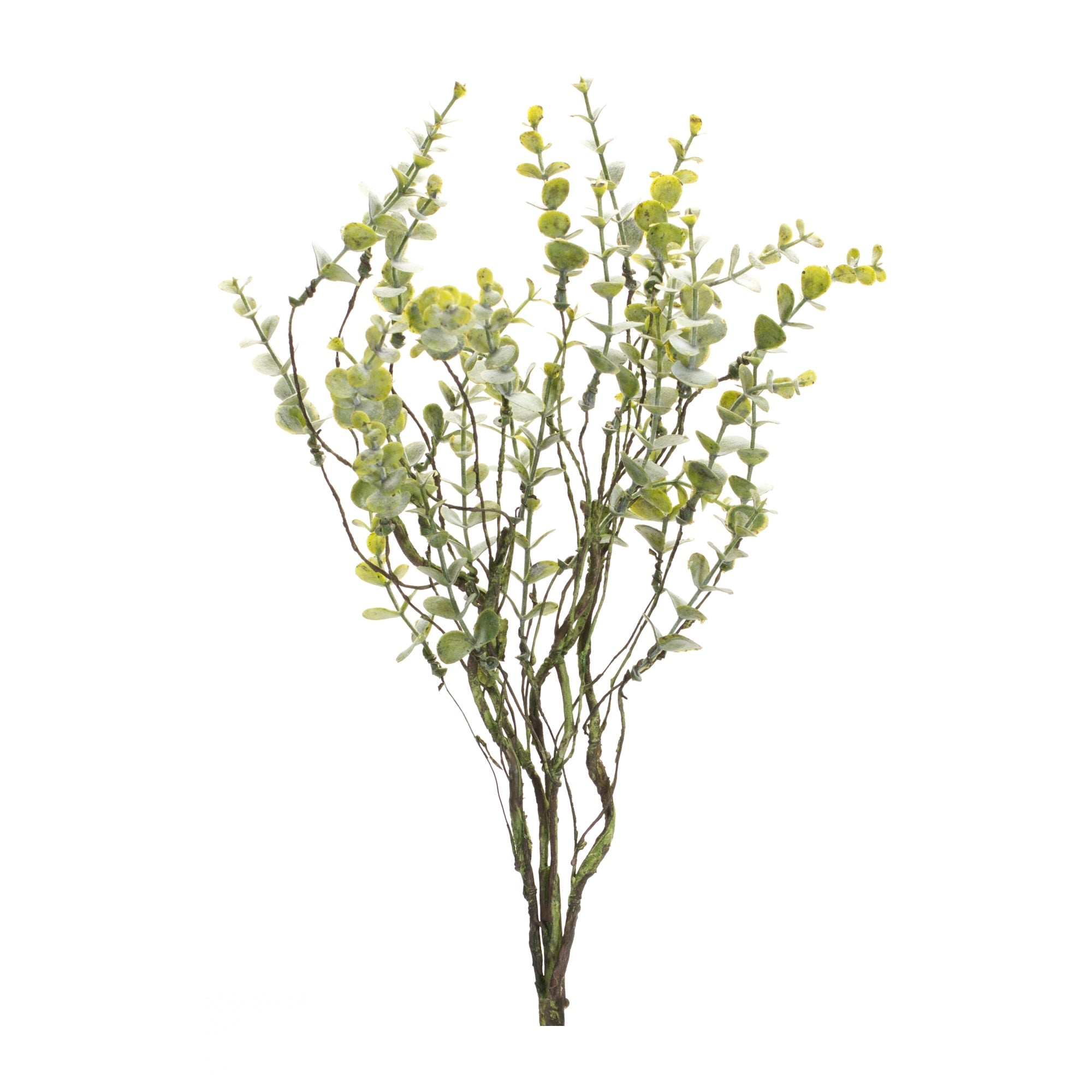 Boxwood Twig Foliage Spray (Set of 6) - Tuesday Morning - Faux Stems & Sprays