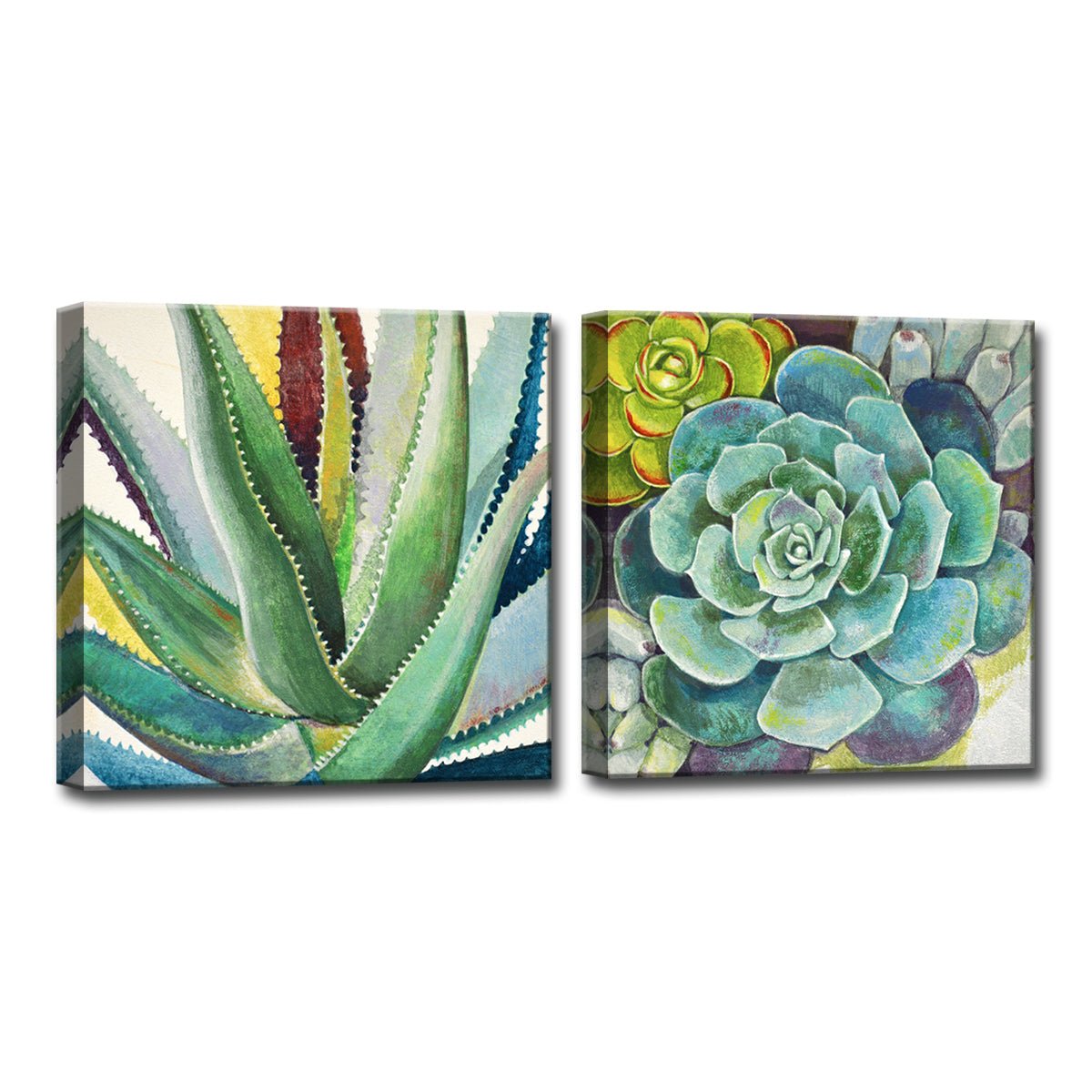 Brilliant Succulents I/II' Wrapped Canvas Wall Art Set - Tuesday Morning - Wall Art