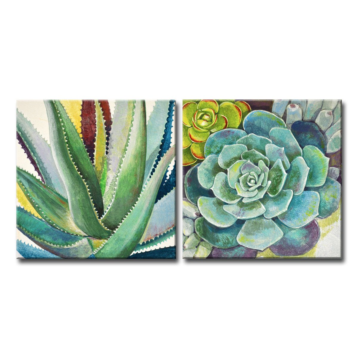 Brilliant Succulents I/II' Wrapped Canvas Wall Art Set - Tuesday Morning - Wall Art