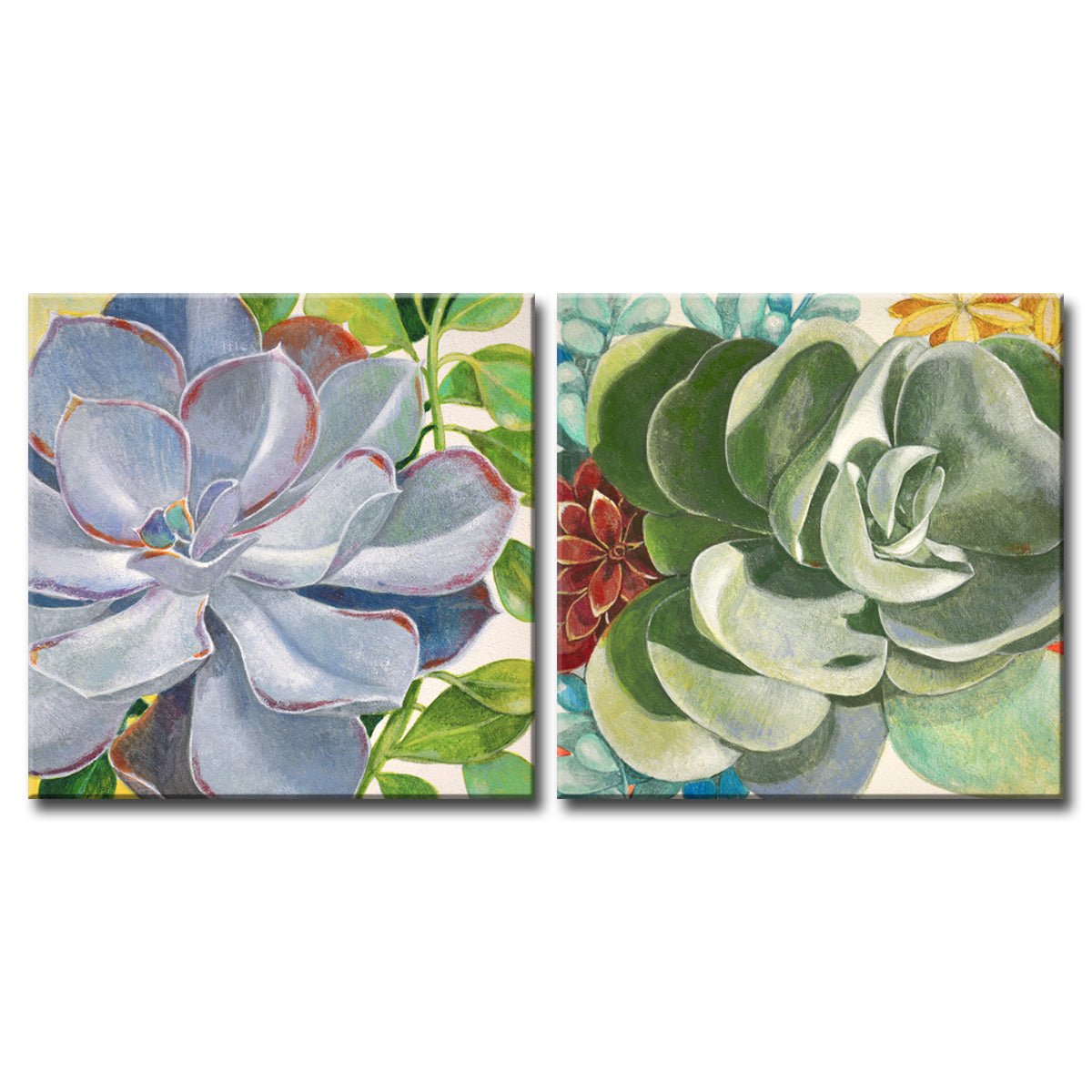 Brilliant Succulents III/IV' Wrapped Canvas Wall Art Set - Tuesday Morning - Wall Art