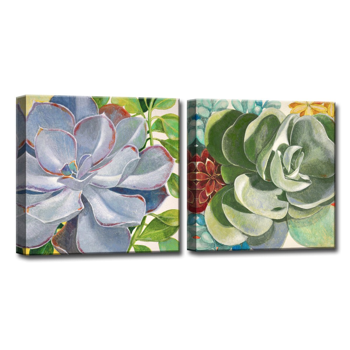 Brilliant Succulents III/IV' Wrapped Canvas Wall Art Set - Tuesday Morning - Wall Art