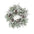 Cedar and Magnolia Leaf Wreath 22"D - Tuesday Morning - Wreaths