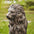 27.75"H Oversized MGO Bronze Sitting Lion Garden Statue