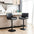 Set of 2 Modern Adjustable Luxurious Swivel Bar Stools