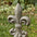 21.25'H MGO Timeless Fleur De Lis Garden Statue