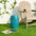 18.25"h decorative garden stool with solar powered light, iron outdoor side table